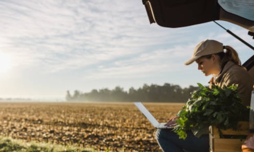 Suche Mitarbeiter für Landwirtschaft: Wie Sie qualifizierte Arbeitskräfte für die Landwirtschaft finden